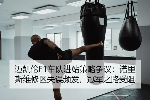 迈凯伦F1车队进站策略争议：诺里斯维修区失误频发，冠军之路受阻